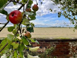 Views- click for photo gallery